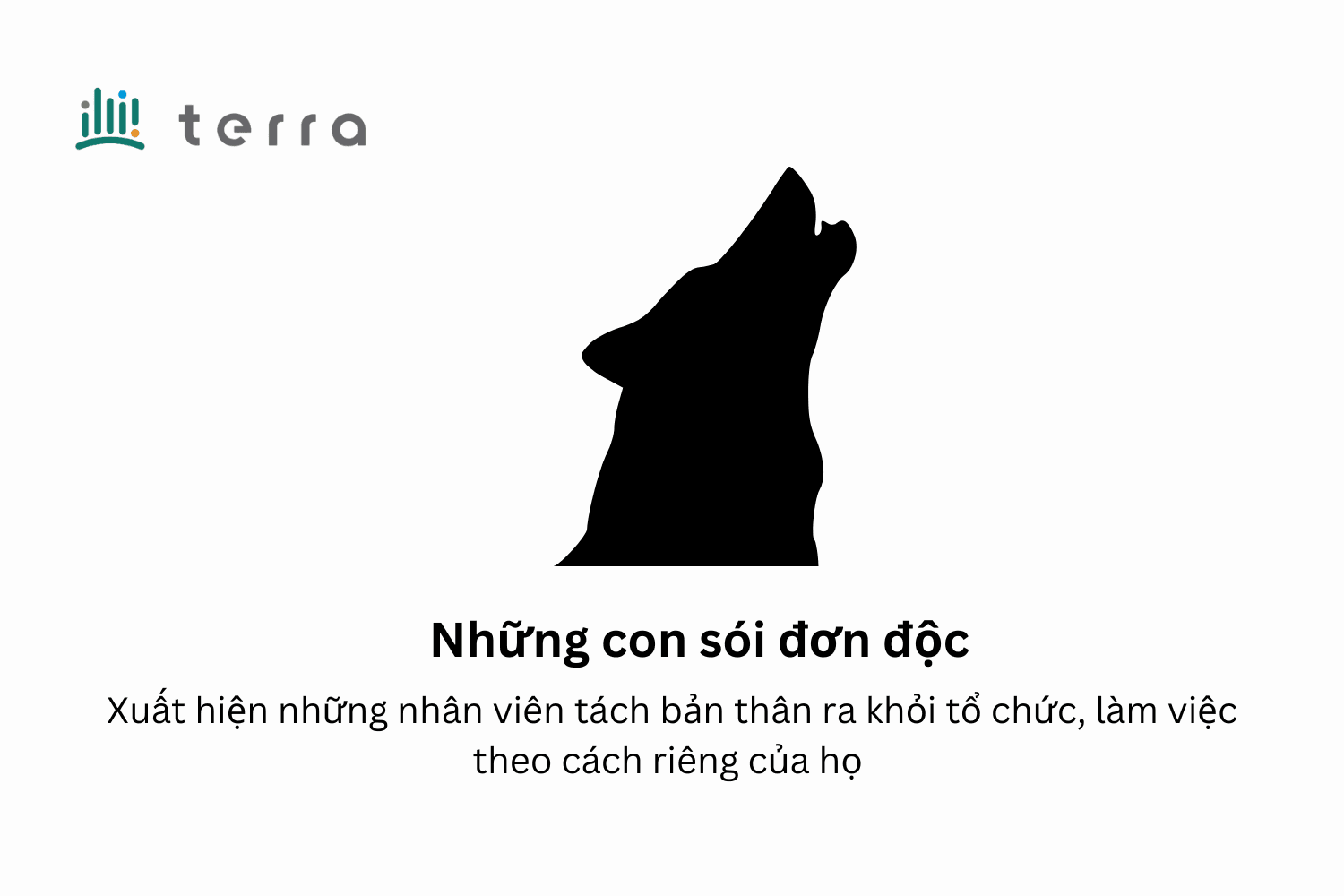 Xuat-hien-nhung-con-soi-don-doc-nhung-ca-nhan-tach-minh-khoi-to-chuc
