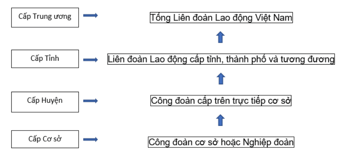 He-thong-cong-doan-Viet-Nam-hien-nay