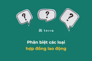(3)-phan-biet-cac-loai-hop-dong-lao-dong