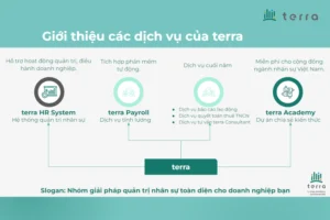 (4)-dich-vu-cuoi-nam-terra-consultant