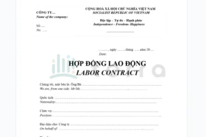 Hop-dong-lao-dong-song-ngu