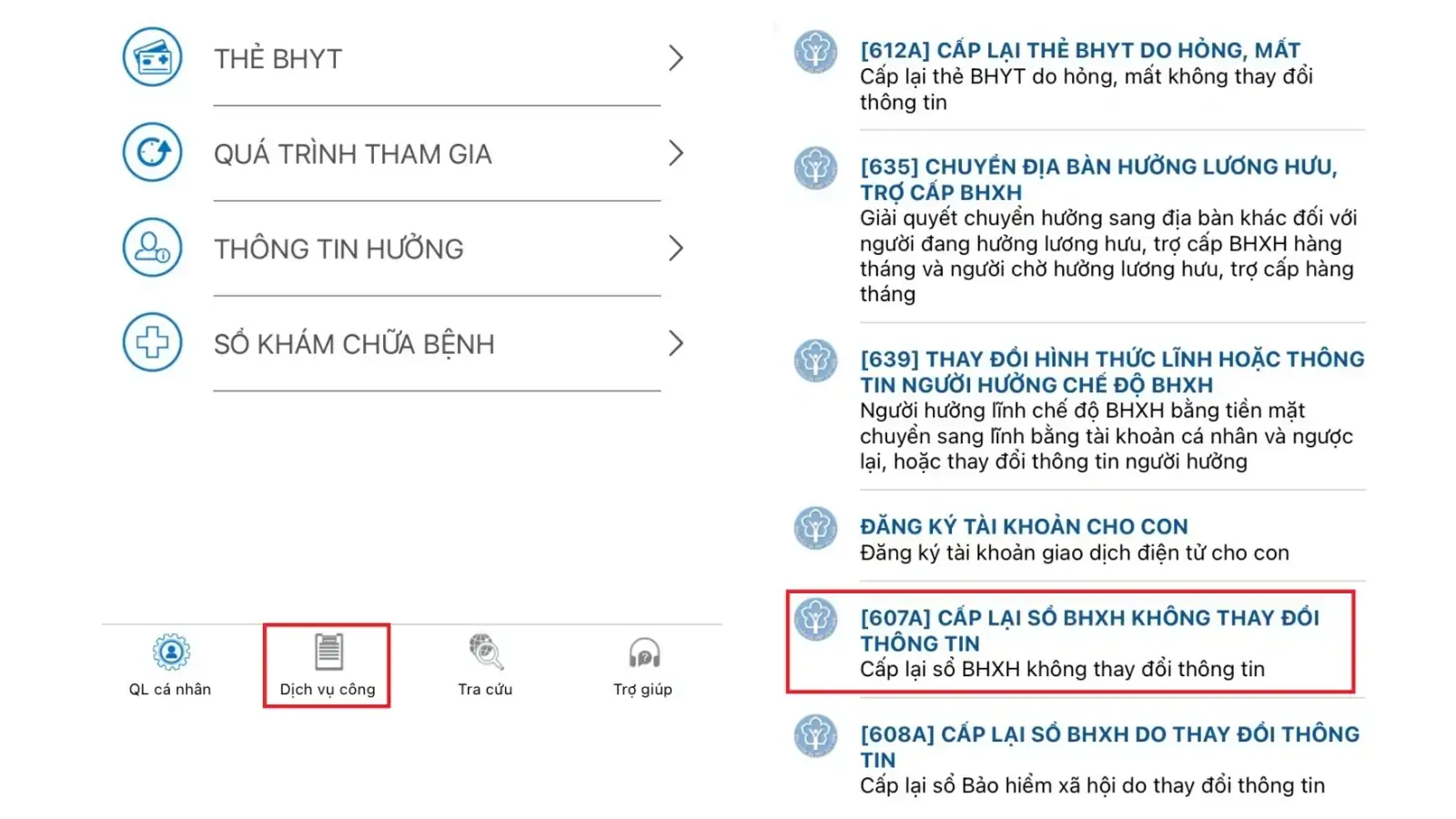Chọn thủ tục 607A