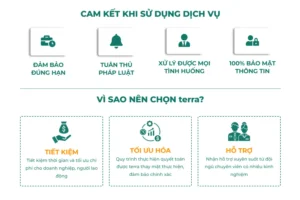 dich-vu-quyet-toan-thue-tncn-terra-payroll