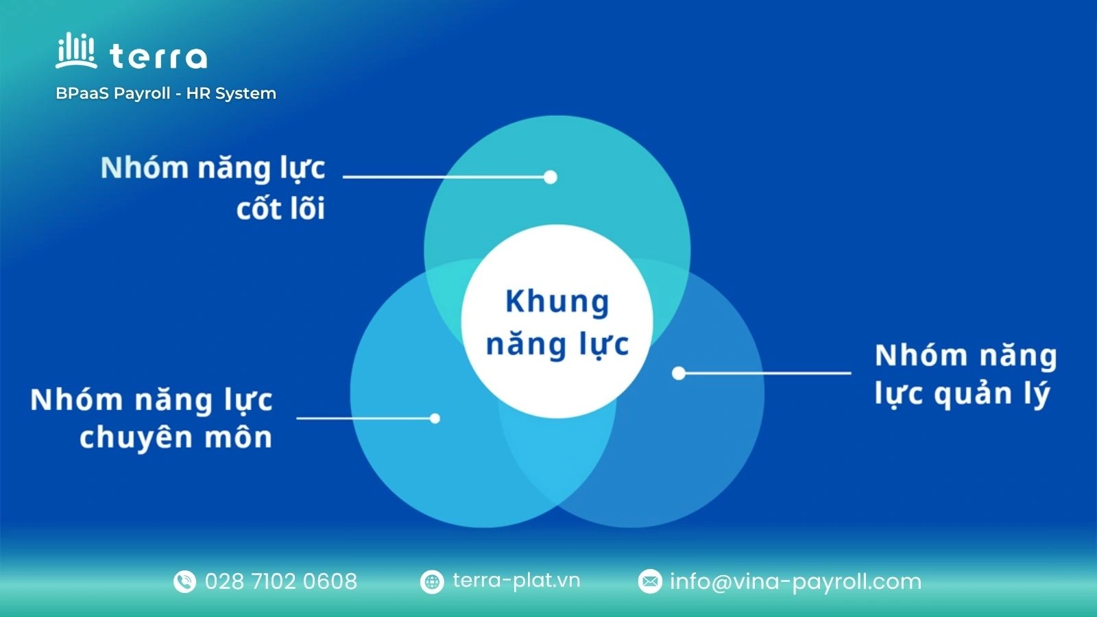 Cấu trúc của một khung năng lực thường chia làm 3 nhóm chính