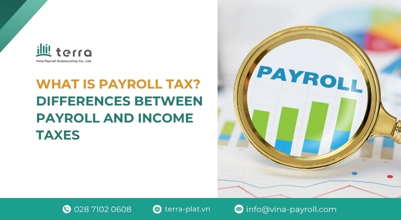 What is payroll tax? Differences between payroll and income taxes