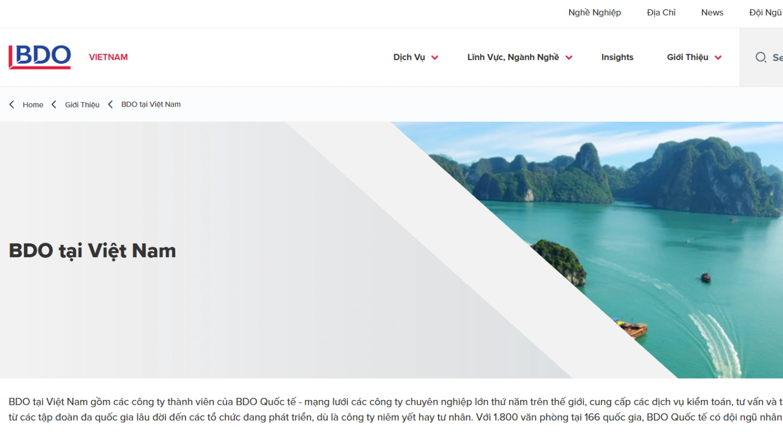 BDO‘s homepage interface