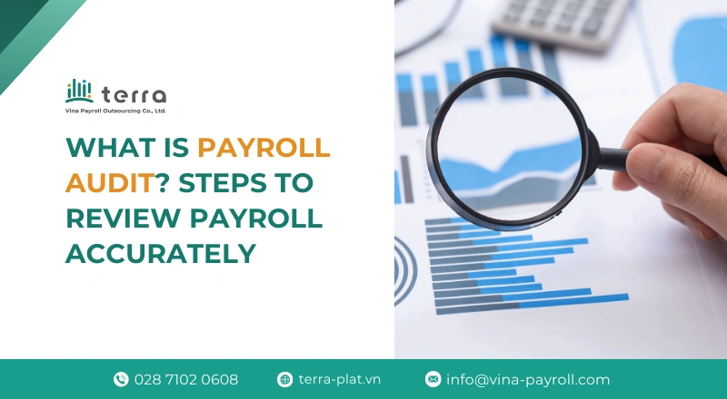 What is a payroll audit? Steps to review payroll accurately