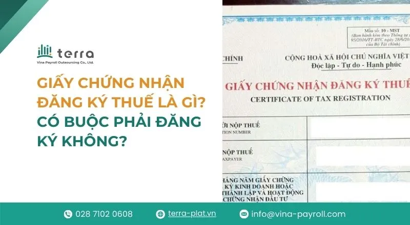 Giấy chứng nhận đăng ký thuế là gì thumbnail