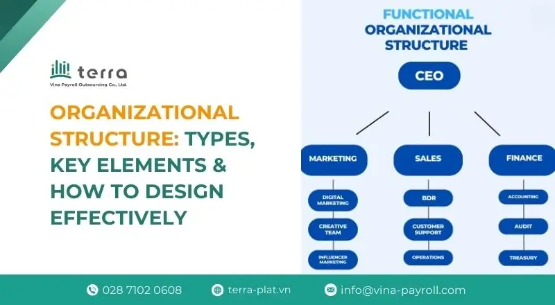 Organizational structure of a company