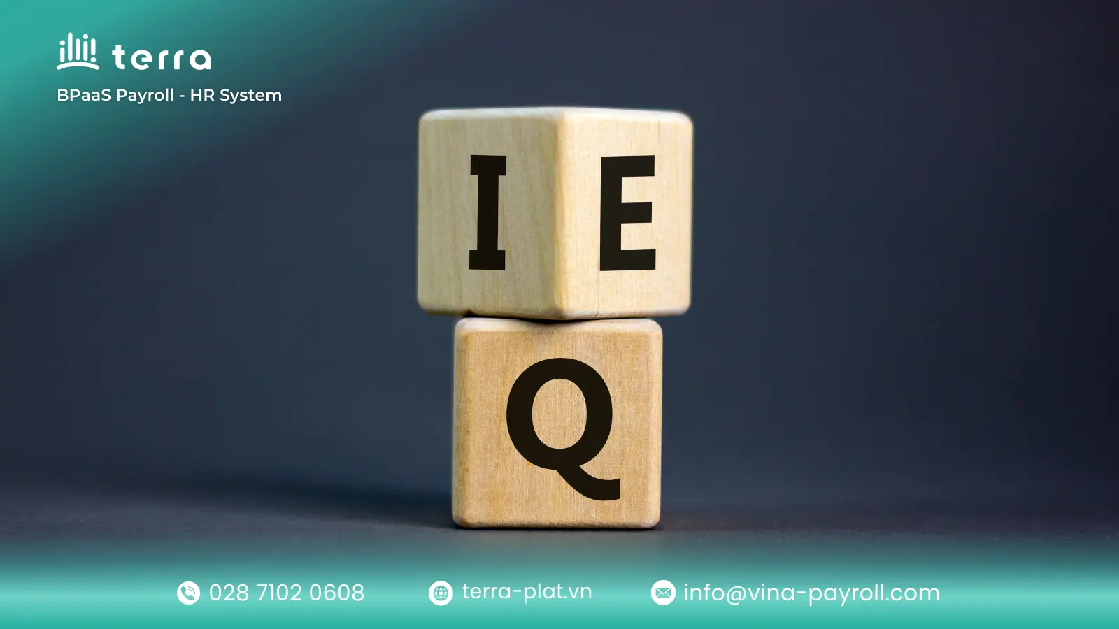 Organizational emotional intelligence assessment methods
